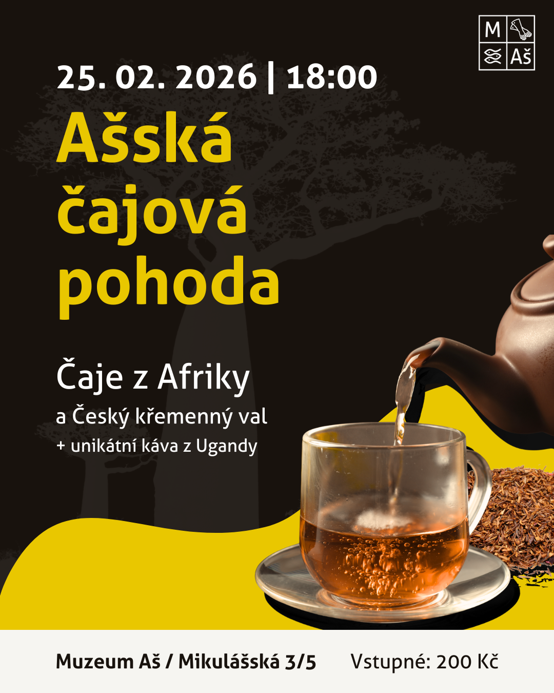 AČP únor - plakát 1080 x 1350